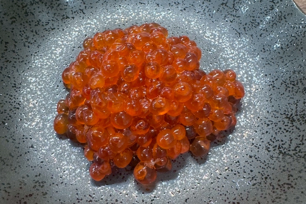 その他冷凍水産物